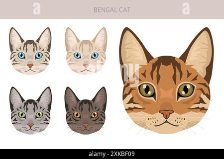 Bengalkatze Clipart. Alle Lackfarben festgelegt. Infografik zu den Merkmalen aller Katzenrassen. Vektorabbildung Stock Vektor