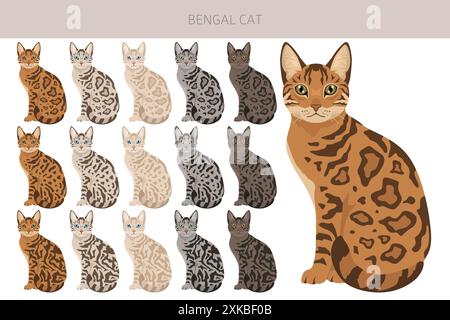 Bengalkatze Clipart. Alle Lackfarben festgelegt. Infografik zu den Merkmalen aller Katzenrassen. Vektorabbildung Stock Vektor