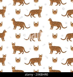 Nahtloses Bengalkatzenmuster. Alle Lackfarben festgelegt. Infografik zu den Merkmalen aller Katzenrassen. Vektorabbildung Stock Vektor