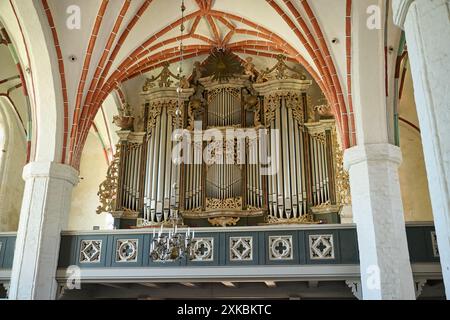 Innenaufnahme mit Orgel der Marienkirche Angermuende, Uckermark, Brandenburg, Deutschland, Europa Stockfoto