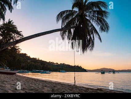 Eine Palme überhängt einen Sandstrand mit ruhigem Wasser, Booten in der Ferne und einer Seilschaukel, die am Baum hängt. Stockfoto