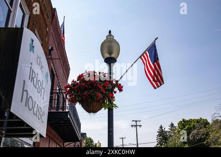 Das irische Haus Pub Schild mit Blumenkorb und Flagge Stockfoto