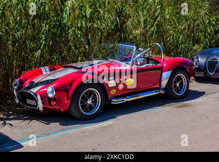 Shelby Cobra Roadster Stockfoto