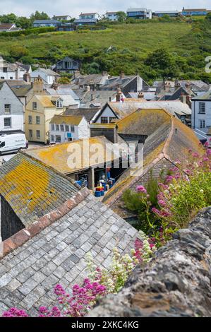 Blick vom Roscarrock Hill über Port Isaac Dorf und Hafen Cornwall England Großbritannien Stockfoto