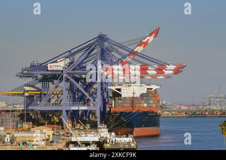 Los Angeles, Kalifornien, USA - 12. Januar 2024: Große Containerschiffe an allen Seiten der Kräne in einem der Häfen im Hafen von Los Angeles Stockfoto