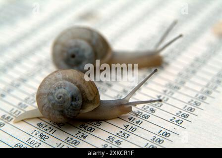 Konzeptuelles Bild des Schneckenscrollens über Börsenstatistiken Stockfoto