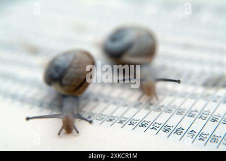 Konzeptuelles Bild des Schneckenscrollens über Börsenstatistiken Stockfoto