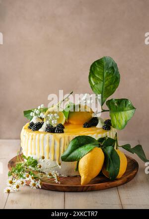 Zitronenkuchen, wunderschön dekoriert mit Zitronen und Blättern. Geburtstag, Hochzeitstorte. Stockfoto