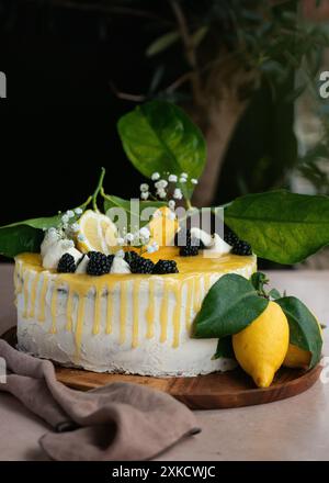 Zitronenkuchen, wunderschön dekoriert mit Zitronen und Blättern. Geburtstag, Hochzeitstorte. Stockfoto