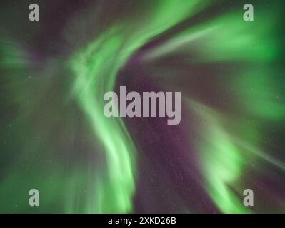 Wunderschöne grüne und violette Auroralkorona, Nordlichter in Tromso, Norwegen Stockfoto