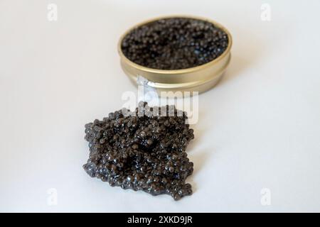 Schwarzer Kaviar in und außerhalb einer offenen Dose auf weißem Hintergrund. Gourmetgerichte mit Meeresfrüchten. Stockfoto