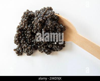 Schwarzer Kaviar mit Löffel auf weißem Hintergrund. Draufsicht. Gourmetgerichte mit Meeresfrüchten. Stockfoto