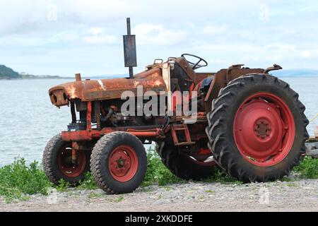 David Brown 996 Traktor am Strand von Drummore Schottland wird immer noch verwendet, um kleine Boote zu starten und zu holen - Foto Juli 2024 Stockfoto