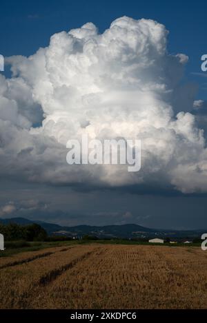 Eine große Kumuluswolke über einem Stoppelfeld, im Hintergrund der Bayerische Wald, Niederbayern Stockfoto