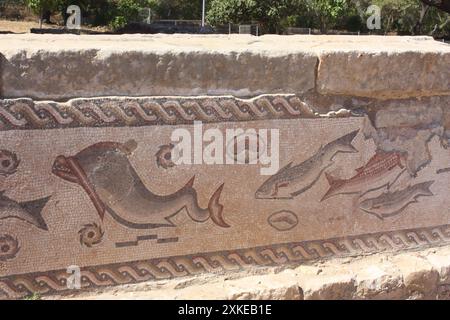 Mosaike am „Tempel“ in der römischen Stadt Milreu in der Nähe von Faro, Algarve, Portugal Stockfoto