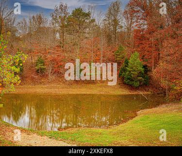 Herbstlaub spiegelt sich in einem kleinen Teich Stockfoto