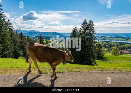 Schöne Wanderung entlang des Rottachsees mit Schluchtweg zur Burgkranzegg Ruine im Allgau Stockfoto