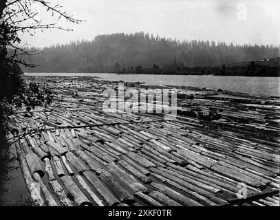 Portland (Oregon) um 1910 wurden Holzfässer auf dem Willamette River transportiert. Stockfoto