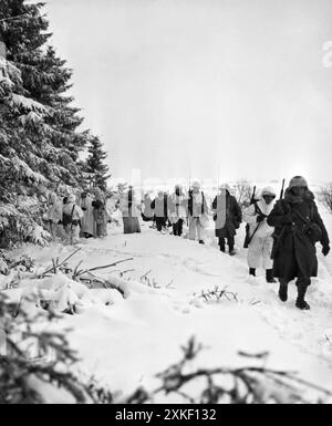 Iveldingen, Belgien 20. Januar 1945 amerikanische Infanteristen des 517. A/B-Regiments, 7. Panzerdivision, Hauptquartier Co, 2. Bataillon, 1. US-Armee, Sie wandern durch den Schnee, während sie am Waldrand bei Iveldingen entlang marschieren, um St. Vith zurückzuerobern. Stockfoto