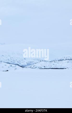 Weißer Himmel und weiße Landschaft mit Hügeln an einem kalten Wintertag in der Nähe der Castner Cave in Alaska. Stockfoto