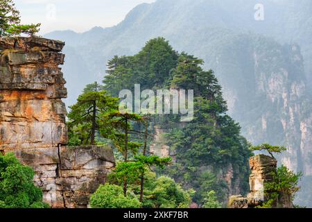 Fabelhafte Aussicht auf Quarzsandsteinsäulen (Avatar Mountains) Stockfoto