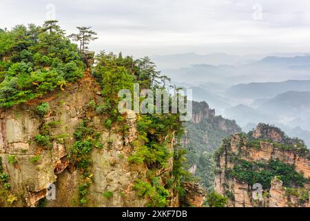 Quarzsandsteinsäulen (Avatar Mountains) Stockfoto