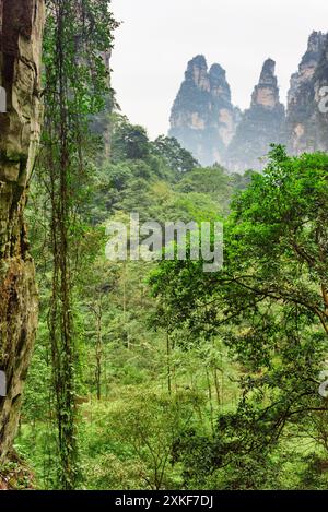 Fabelhafte Aussicht auf Quarzsandsteinsäulen (Avatar Mountains) Stockfoto