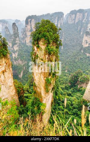 Quarzsandsteinsäulen (Avatar Mountains) Stockfoto