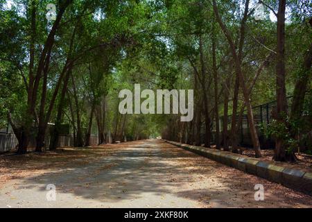 Wunderschöne Dorfstraße in Dschidda, Saudi-arabien Stockfoto