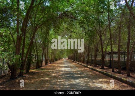 Wunderschöne Dorfstraße in Dschidda, Saudi-arabien Stockfoto