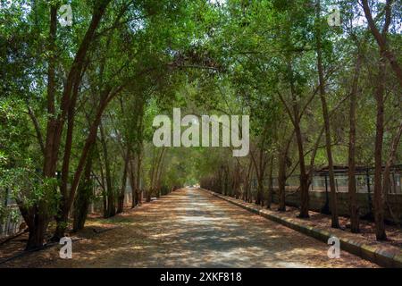 Wunderschöne Dorfstraße in Dschidda, Saudi-arabien Stockfoto