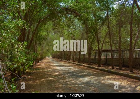 Wunderschöne Dorfstraße in Dschidda, Saudi-arabien Stockfoto