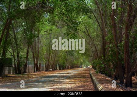 Wunderschöne Dorfstraße in Dschidda, Saudi-arabien Stockfoto