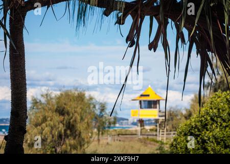 Von einem Baum eingerahmt, eine berühmte gelbe Rettungshütte in Broadbeach, Gold Coast, Australien Stockfoto