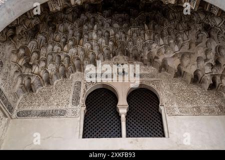 Alte Funduk Corral del Carbón , al-fundaq al-yadida, ein spitzer Hufeisenbogen aus gewellten Ziegeln, mit Albanegas von Atariques in Gips, 14. Jahrhundert, Granada, Andalusien, Spanien. Stockfoto