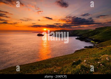 Lange Exposition des Sonnenaufgangs bei Sonnenaufgang in der Nähe der Sommersonnenwende, die über der Gullastem-Bucht aufgeht, aufgenommen von Barras Nose, Tintagel, Cornwall, Großbritannien Stockfoto