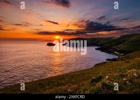 Sonnenaufgang bei Sonnenaufgang in der Nähe der Sommersonnenwende, die über der Gullastem Bucht aufgeht, aufgenommen von Barras Nose, Tintagel, Cornwall, Großbritannien Stockfoto