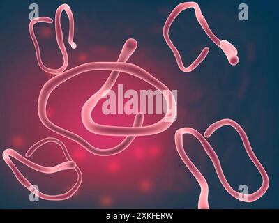 ebola-Virus auf wissenschaftlichem Hintergrund. 3D-Abbildung Stockfoto