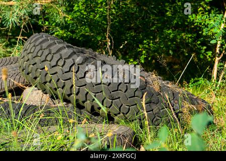 Alte Reifen liegen in bewachsenem Gras und Bäumen in einem Wald, was Umweltverschmutzung und Müll hervorhebt. Stockfoto