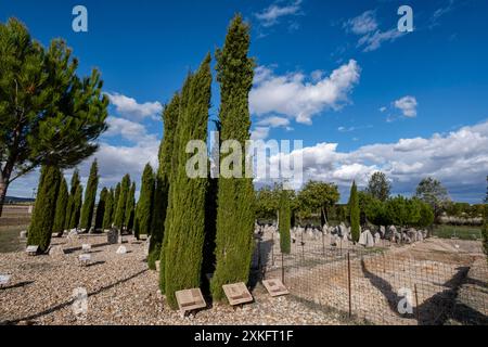 Vacceos Beerdigungsstele, Nekropole von 'Las Ruedas', antike Vaccea-Stadt Pintia, Padilla de Duero, Provinz Valladolid, Spanien. Stockfoto