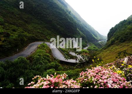 Kurvige Straße auf der Ha Giang Loop Stockfoto