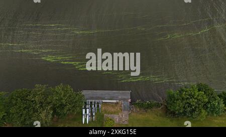 Allgemeine Ansichten von Blaualgenkonzentrationen am Ufer des Lough Neagh in Co Antrim. Bilddatum: Dienstag, 23. Juli 2024. Stockfoto