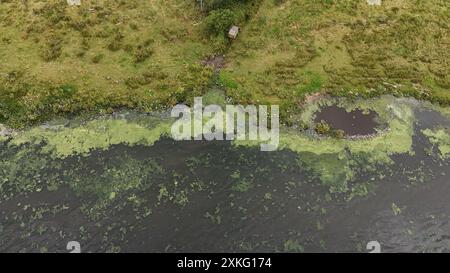 Allgemeine Ansichten von Blaualgenkonzentrationen am Ufer des Lough Neagh in Co Antrim. Bilddatum: Dienstag, 23. Juli 2024. Stockfoto