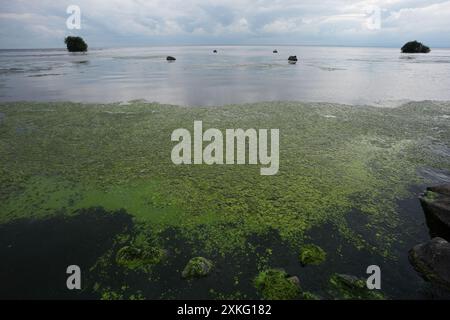 Allgemeine Ansichten von Blaualgenkonzentrationen am Ufer des Lough Neagh in Co Antrim. Bilddatum: Dienstag, 23. Juli 2024. Stockfoto