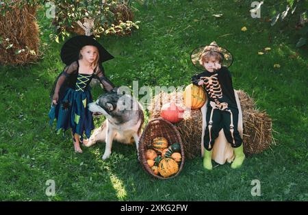 Das Konzept der Kinderfreundschaft, Frieden, Freundlichkeit, Kindheit. Zusammensetzung von Kürbis und Halloween-Dekorationen für Kinder im Garten. Stockfoto