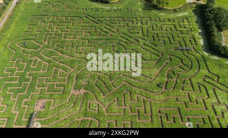 Ein Blick auf Wistow Maze in Leicestershire, inspiriert von der Heptathlete Katarina Johnson-Thompson und in Form eines Speerwerfers, vor den Olympischen Spielen in Paris. Die Eröffnungszeremonie der Olympischen Spiele 2024 in Paris findet am Freitag, den 26. Juli, an der seine statt. Bilddatum: Dienstag, 23. Juli 2024. Stockfoto