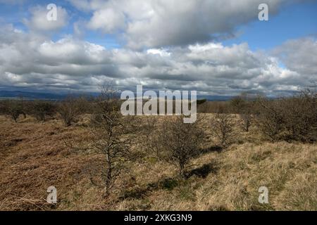 Das Gipfelplateau Hutton Roof Crags bei Burton in Kendal Westmorland und Furness England Stockfoto