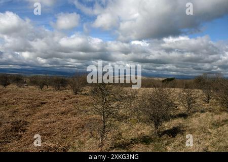 Das Gipfelplateau Hutton Roof Crags bei Burton in Kendal Westmorland und Furness England Stockfoto