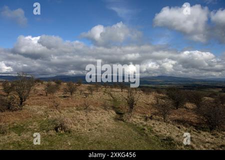 Das Gipfelplateau Hutton Roof Crags bei Burton in Kendal Westmorland und Furness England Stockfoto