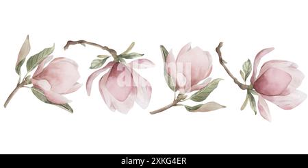 Hellrosa Magnolien-Zweige mit Blüten und Blättern. Nahtloser Rand der Frühlingsblüte. Floral Aquarell Illustration handgemalt isoliert auf weiß Stockfoto